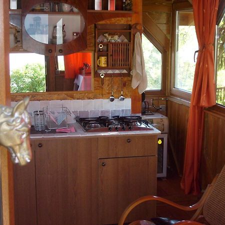 Transylvania Cowboy Cottage クルージュ＝ナポカ エクステリア 写真