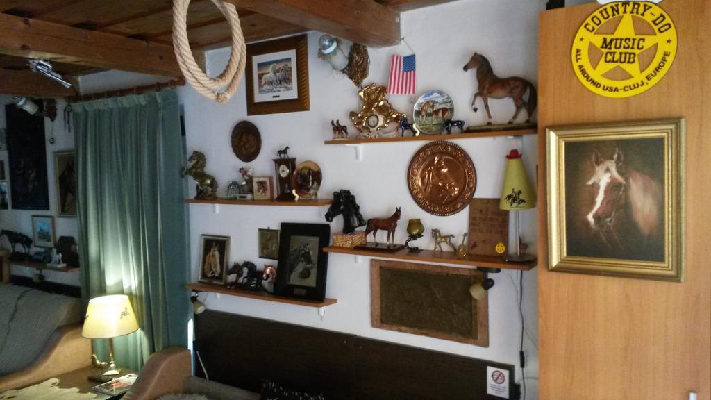 Transylvania Cowboy Cottage クルージュ＝ナポカ エクステリア 写真
